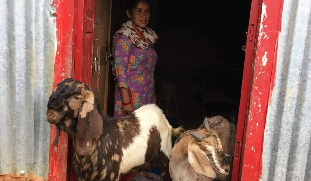 Livestock Loan Project (LLP)